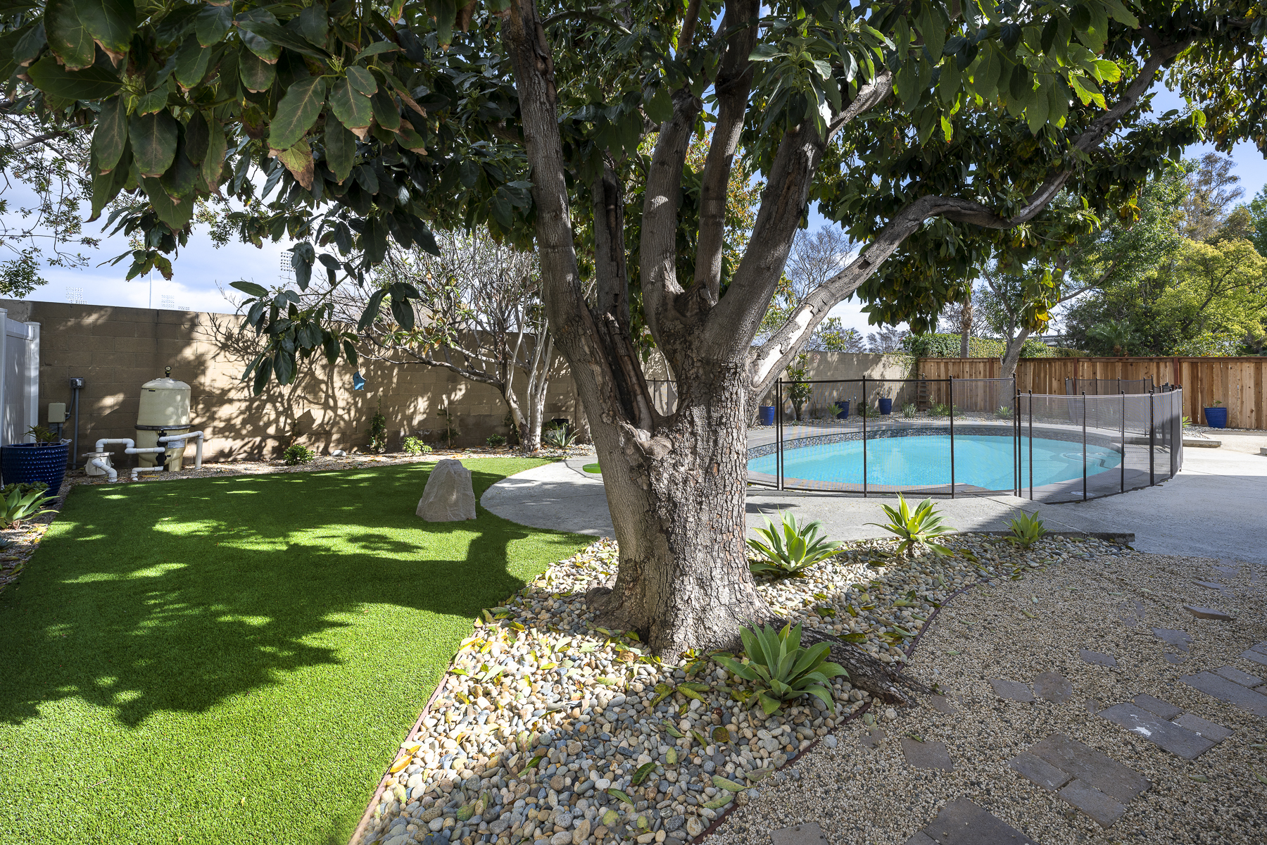 Backyard with large tree, grass patch, stone pathway, and pool with surrounding gate