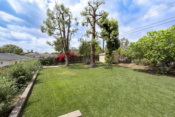501 Dorothy Drive: Full view of backyard with green space, garden, shed and landscape
