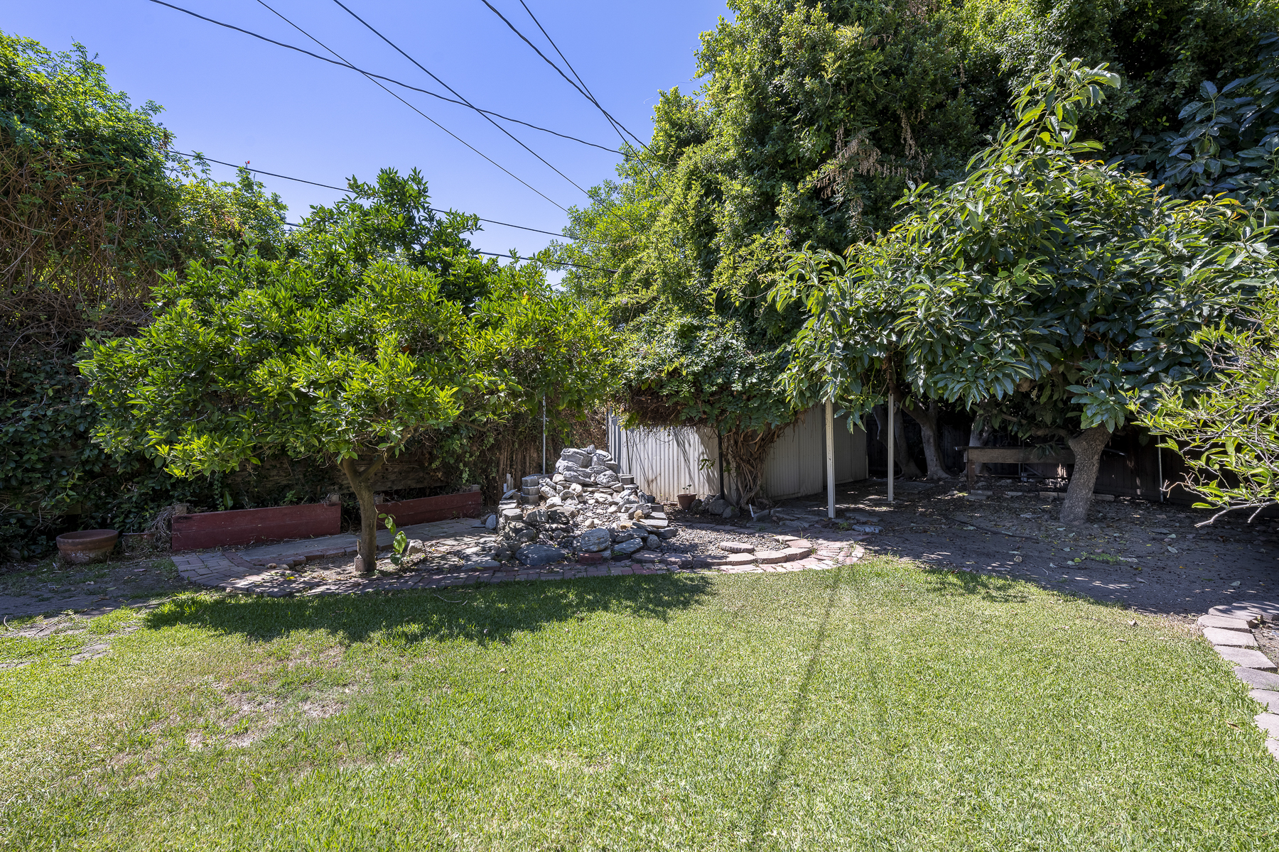 411 Truman Ave, Fullerton, CA 92832: Outdoor storage shed and trees.
