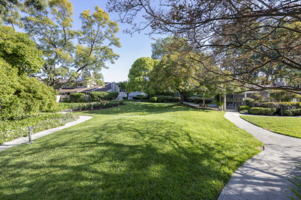3100 Palm Drive_A-HOA Green Belt-2