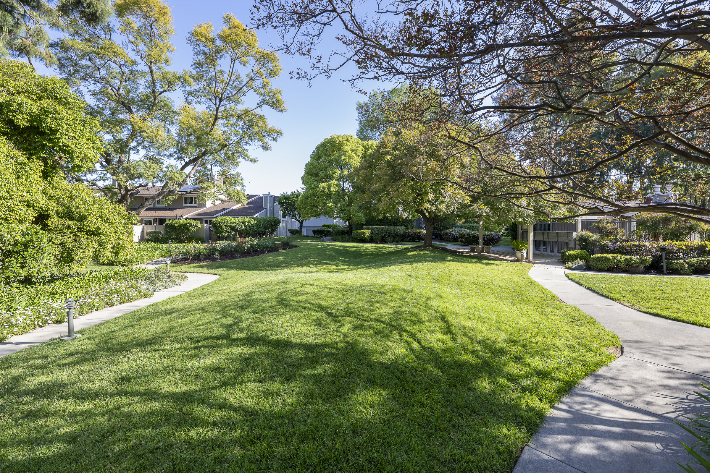 3100 Palm Drive_A-HOA Green Belt-2