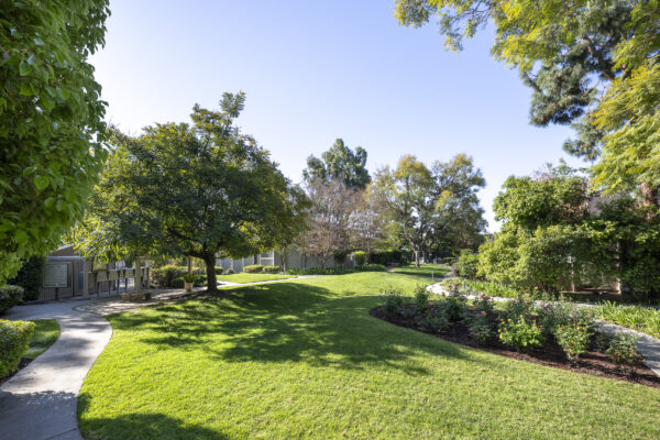 3100 Palm Drive_A-HOA Green Belt