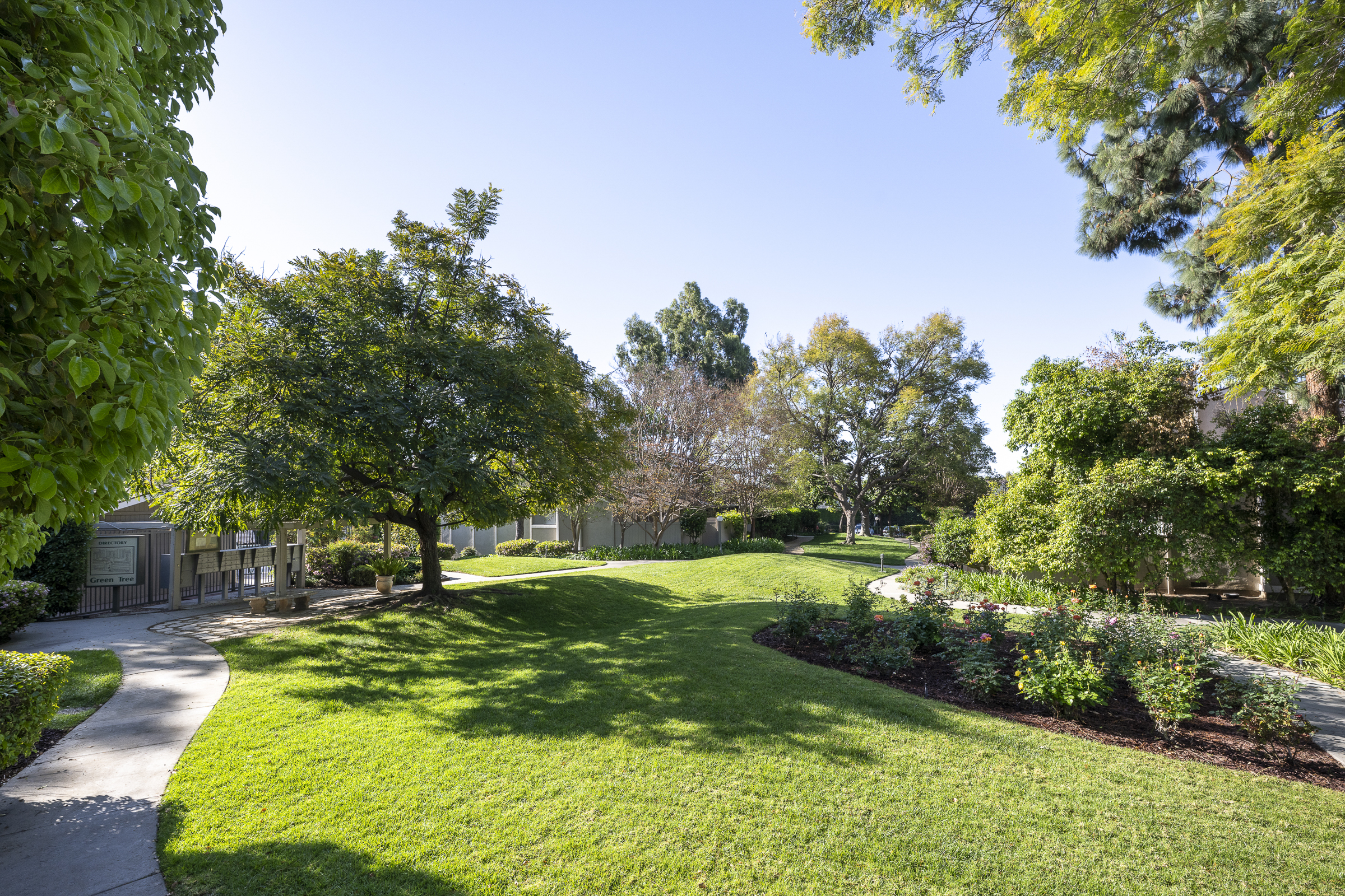 3100 Palm Drive_A-HOA Green Belt