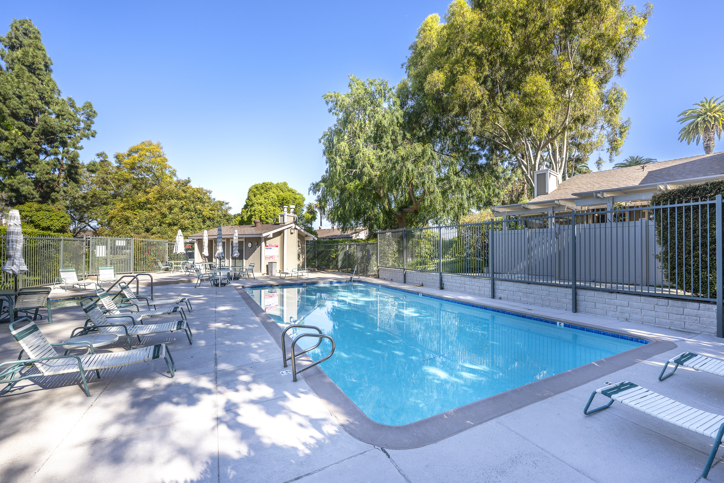3100 Palm Drive_A-HOA Pool