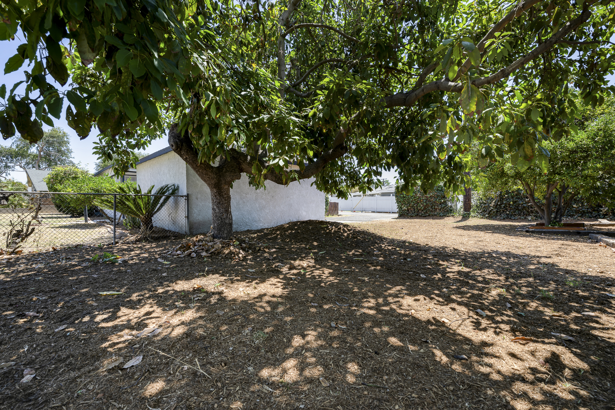 1910 W. Champan Ave, Fullerton, CA 92833