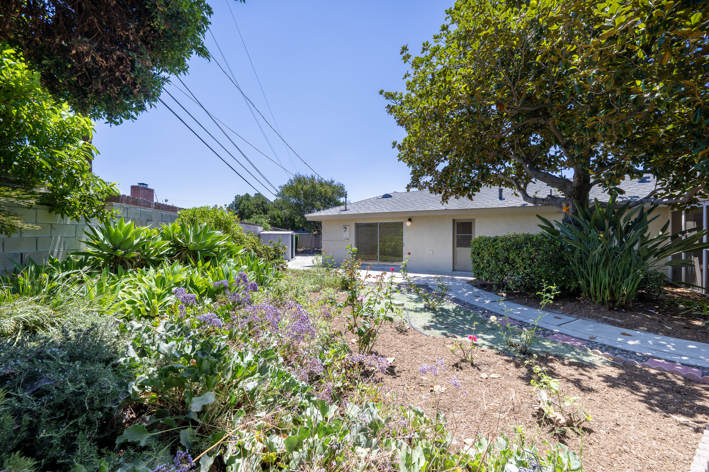 2115 E. South Redwood Dr-Back Yard